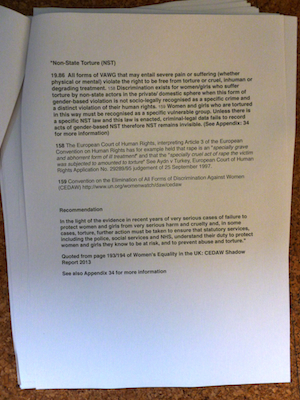 quote from the Shaow Report copy